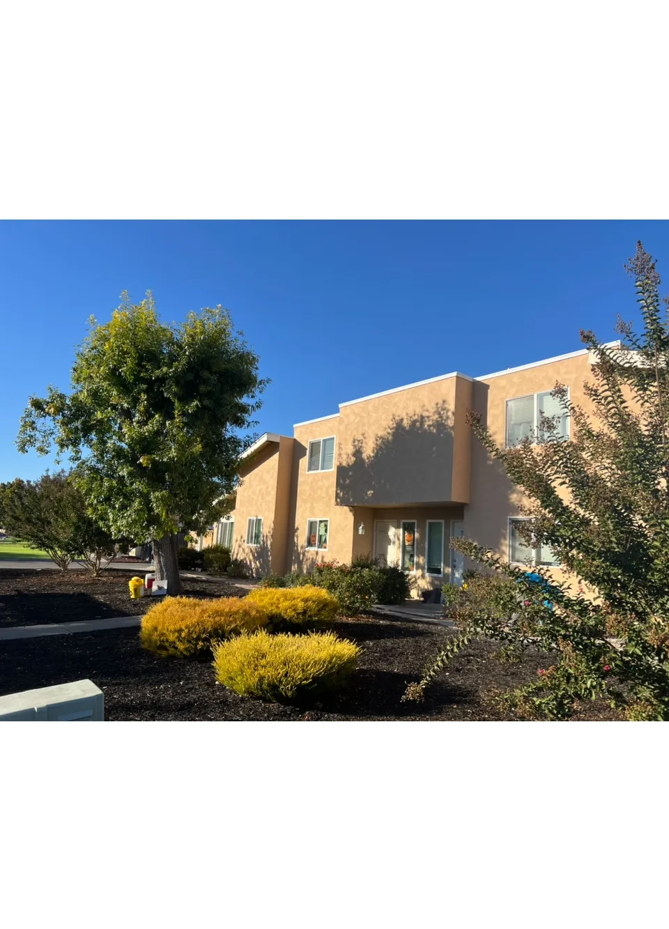 Corner view of the completed stucco facade with new landscaping (after) — siding-to-stucco conversion